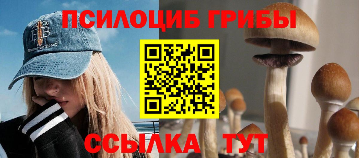 закладка  Вход с VPN  Пенза  Галлюциногенные грибы мухоморы 
